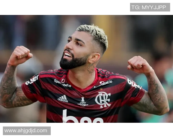 自2019年起巴西球队连续称霸南美解放者杯今年冠军已然确定 自2019年起巴西球队连续称霸南美解放者杯今年冠军已然确定