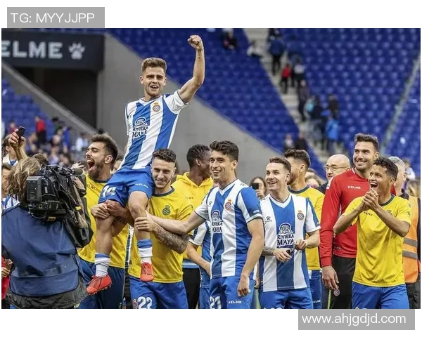 富安健洋期待重返赛场自由球员身价飙升引关注 富安健洋期待重返赛场自由球员身价飙升引关注