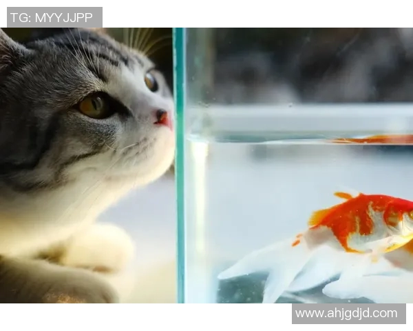 今日趣图:探讨鱼缸中的咸水鱼与淡水鱼共存的可能性与挑战