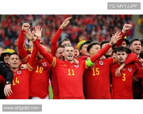 威尔士队长本戴维斯因腿筋受伤缺席世预赛最后两场比赛