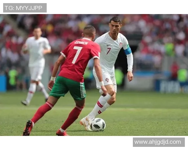 葡萄牙足协主席称球队去年成就斐然今年力争世界杯冠军 葡萄牙足协主席称球队去年成就斐然今年力争世界杯冠军