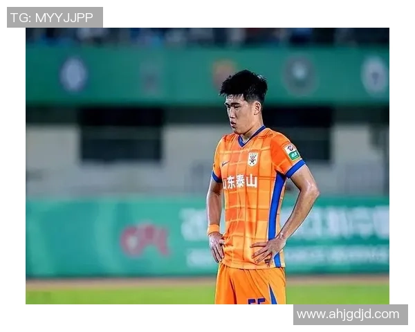 泰山队新任主帅韩鹏带队集结冬训计划定于明年1月3日启程海口