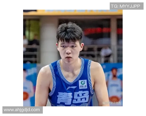 杨瀚森的实力分析:在G联赛与NBA之间的微妙平衡与不稳定性 杨瀚森的实力分析:在G联赛与NBA之间的微妙平衡与不稳定性