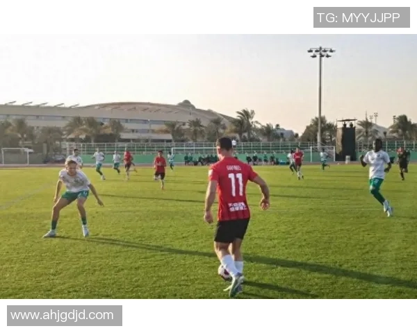 成都蓉城引进前海港外援后腰茹萨加强中场实力助力新赛季